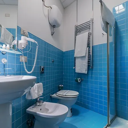 阿尔宾娜酒店 *